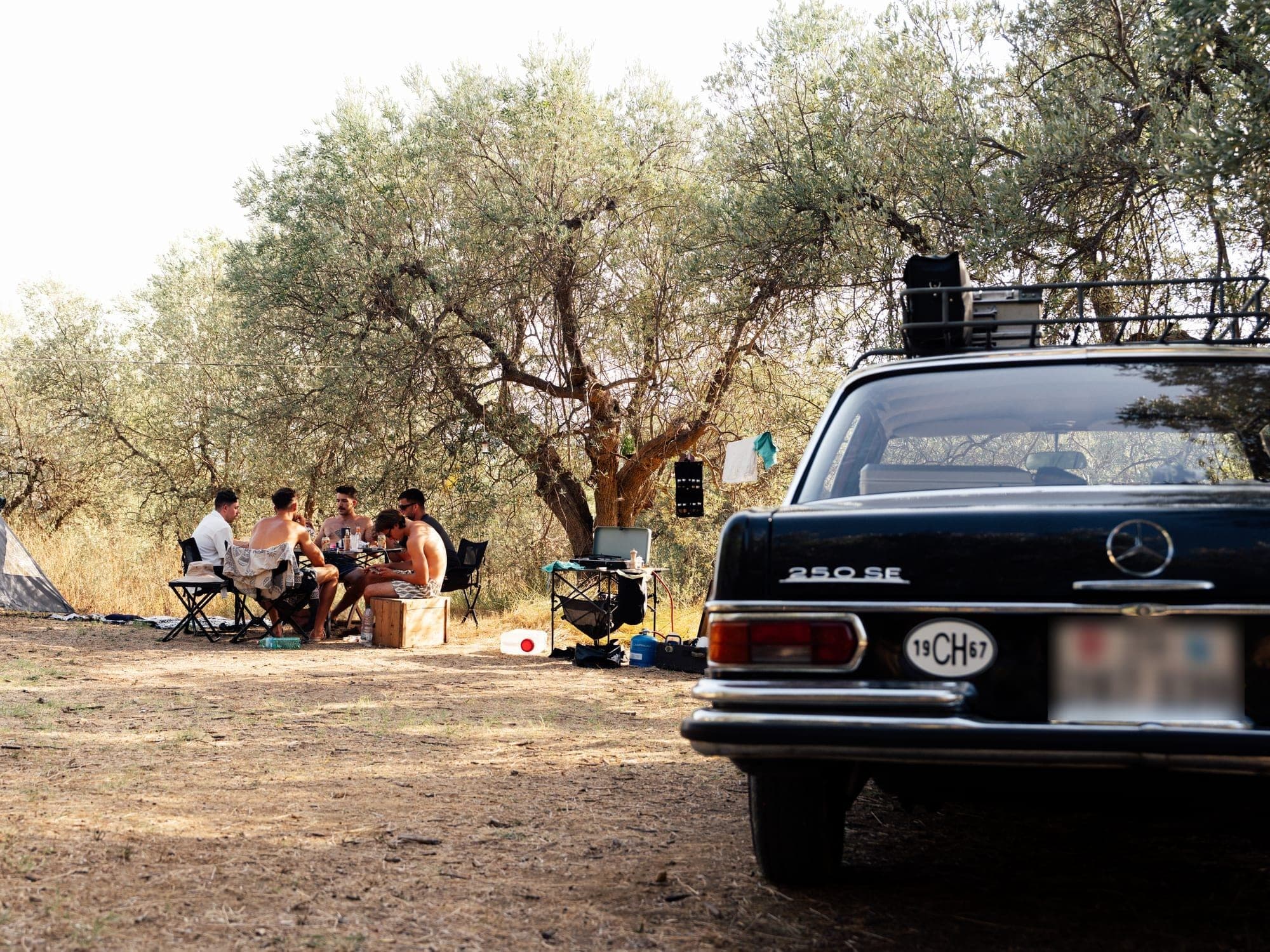Gäste sitzen an einem Campingtisch unter Olivenbäumen, daneben Campingkocher, Zelt und das Heck des Oldtimers