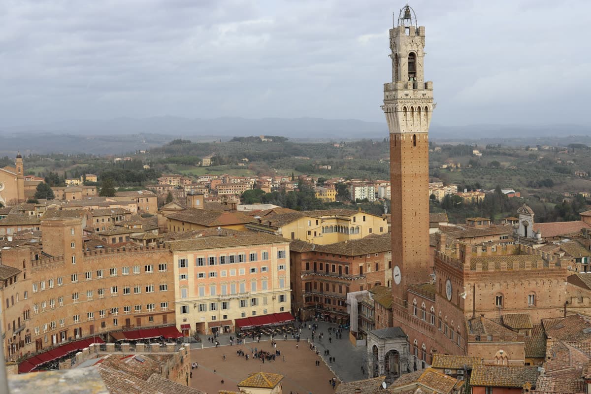 Blick über die Dächer von Siena auf die Piazza del Campo und den Torre del Mangia